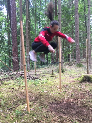 285D314C-F886-4163-A64B-3303F3C952DC