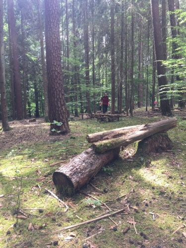 D8BC3343-3E45-4F51-8E56-DCAD0CBAAC84