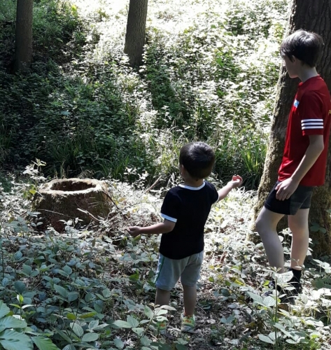 IMG-20200517-WA0003-1