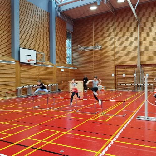 IMG 20240310 1659251